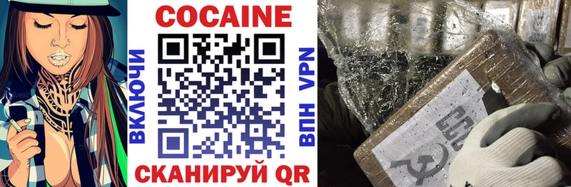 Купить закладки  Ковылкино  COCAIN 99% 