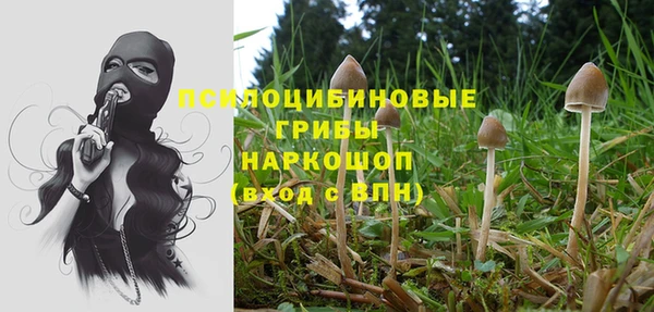 Альфа ПВП Волоколамск
