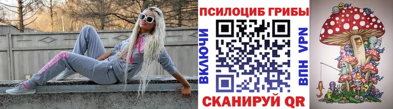 Галлюциногенные грибы Magic Shrooms  Купить где  Ковылкино 