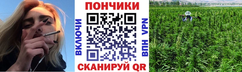 Купить закладки  Ковылкино  Бошки Шишки Bruce Banner 